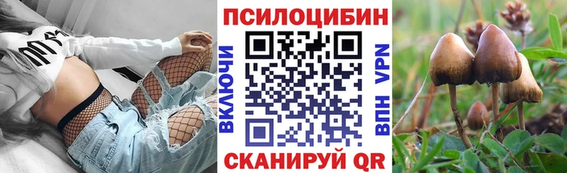 Купить Пучеж Псилоцибиновые грибы мухоморы