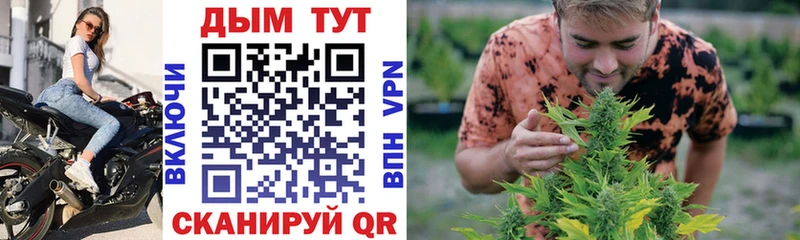 Бошки марихуана Bruce Banner  Купить закладки  Пучеж 